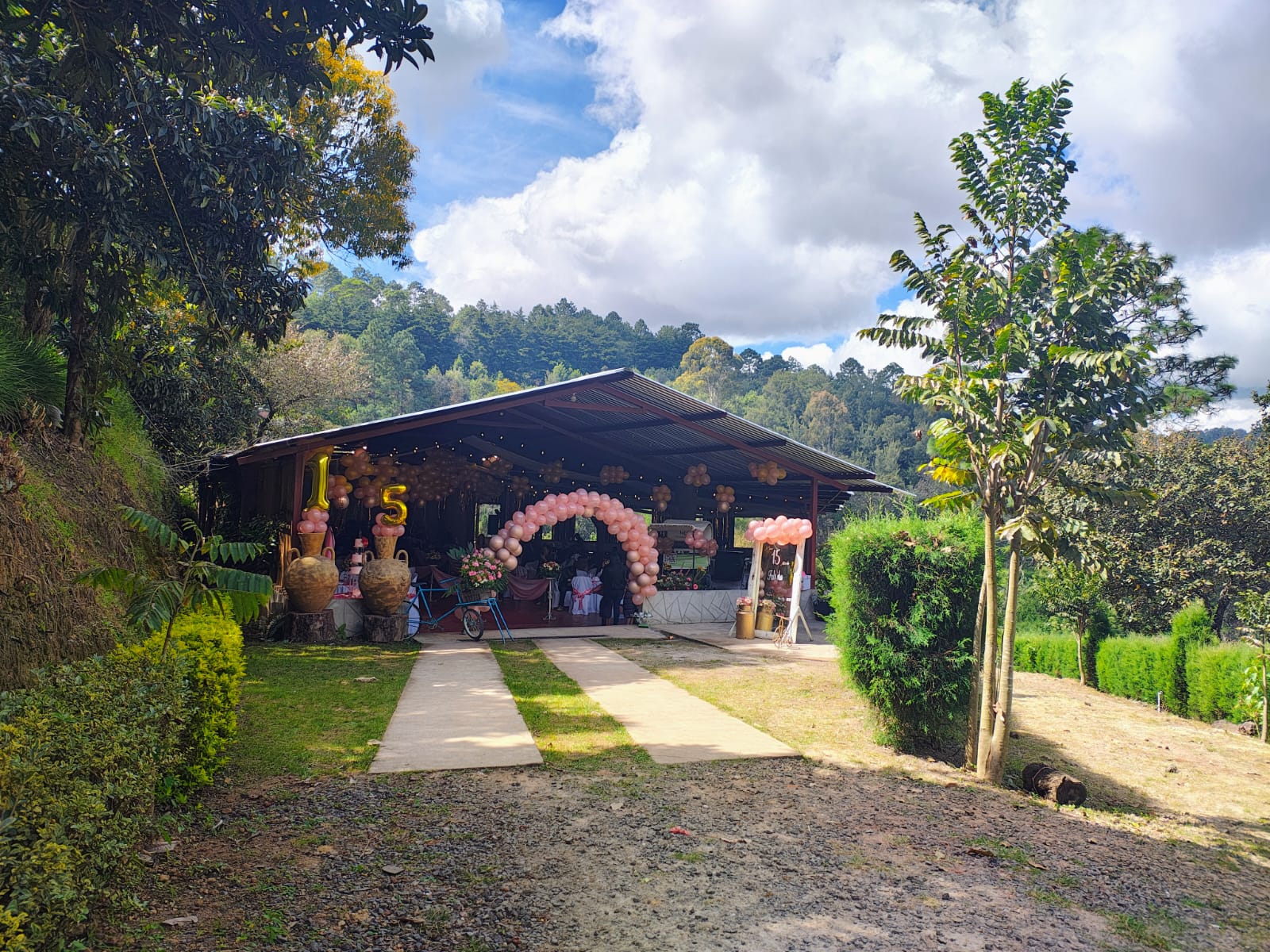 Salón Árbol - Foto 3